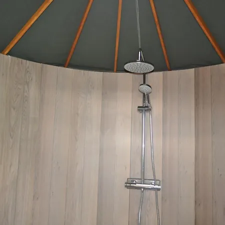 Lapwing * 베인브리지