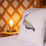 Semesterbostad Lapwing *